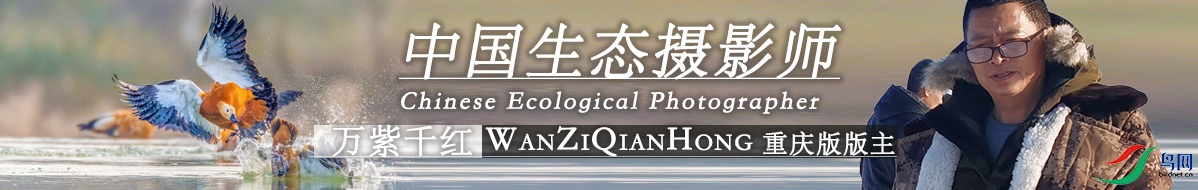 Z  055  万紫千红：用影像的力量保护野生动物